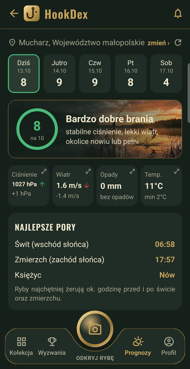 Prognoza brań: ocena dnia 8 na 10, ciśnienie, wiatr, opady i temperatura
