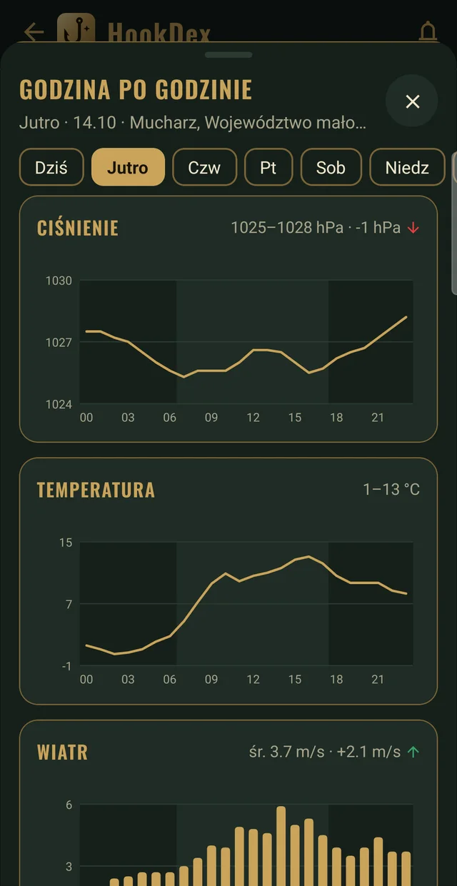 Wykresy ciśnienia, temperatury i wiatru godzina po godzinie